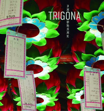 Preorder:  Trigona - Isophase (Vinyl/Record)