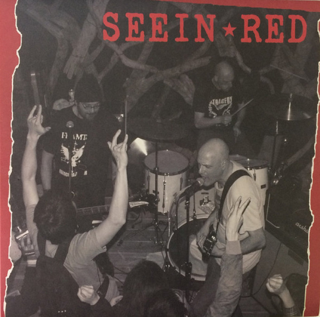 Seein Red - We Need To More Than Just Music (Vinyl/Record)