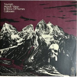 Back vinyl record album cover for Haunt - Mosaic Vision