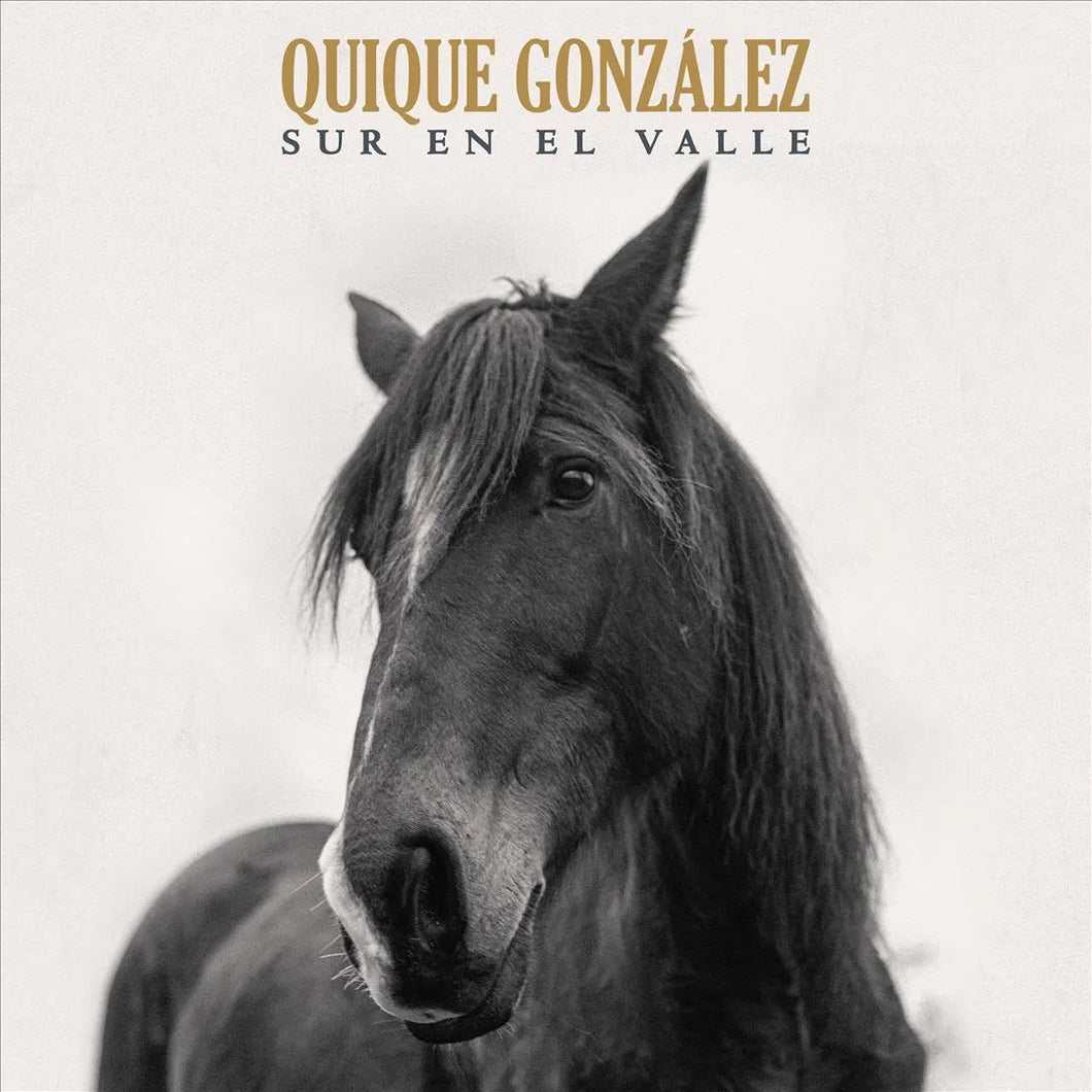 Quique Gonzalez - Sur En El Valle (CD)