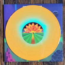 Load image into Gallery viewer, Cactus Flowers - Solace (Vinyl/Record)