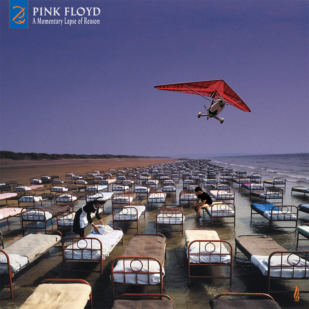 Pink Floyd - A Momentary Lapse Of Reason (CD)