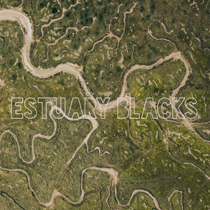 Estuary Blacks - Self Titled (CD)