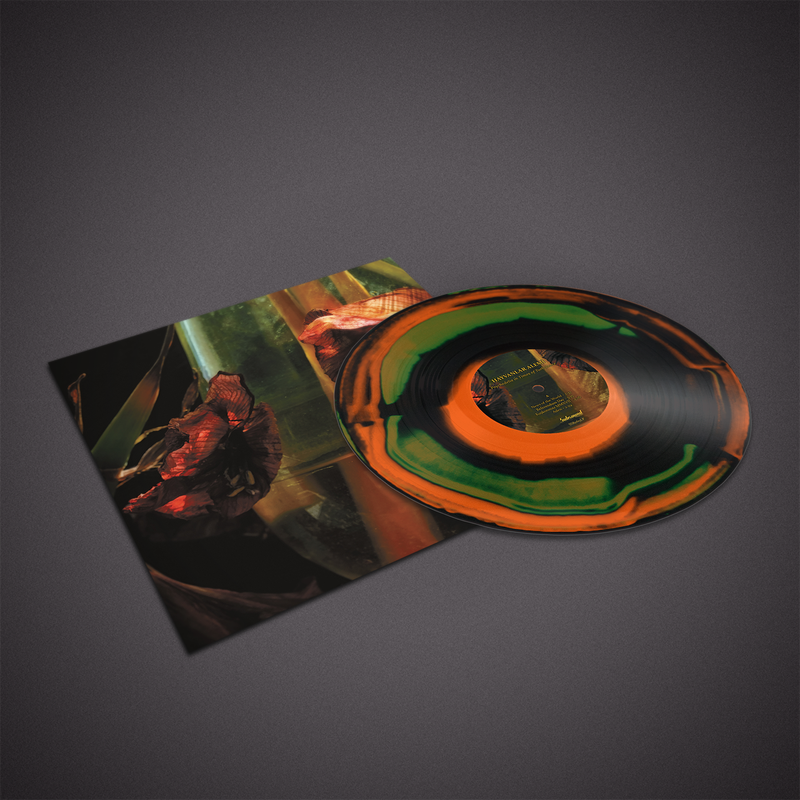 Hayvanlar Alemi - Psychedelia In Times Of Turbulence (Vinyl/Record)