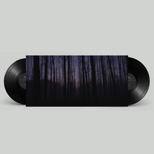 Load image into Gallery viewer, Narla - Till The Weather Changes (Vinyl/Record)