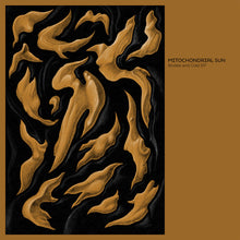 Load image into Gallery viewer, Mitochondrial Sun - Bodies And Gold (Vinyl/Record)