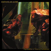 Load image into Gallery viewer, Hayvanlar Alemi - Psychedelia in Times of Turbulence