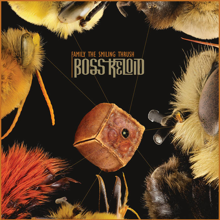 Boss Keloid - Family The Smiling Thrush (Vinyl/Record)